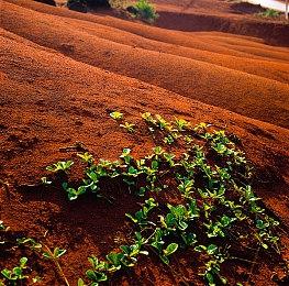 《脑航员2》开发商：微软收购让敌人和BOSS得以优化